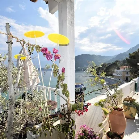 Front Beach Penthouse Apartment *